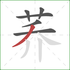 荞的笔顺第6画:撇 荞的笔顺第6画:撇