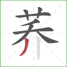 荞的笔顺第8画:撇 荞的笔顺第8画:撇