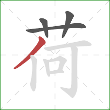 荷的笔顺第4画：撇