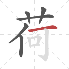 荷的笔顺第6画：横