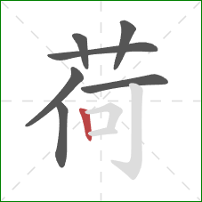 荷的笔顺第7画：竖