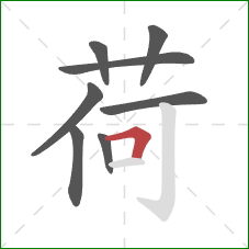 荷的笔顺第8画：横折