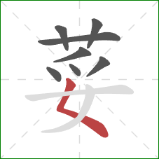 荽的笔顺第8画：撇点