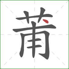 莆的笔顺第10画：点