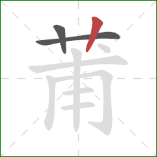 莆的笔顺第3画：竖