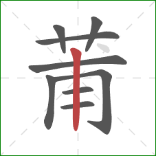 莆的笔顺第9画：竖