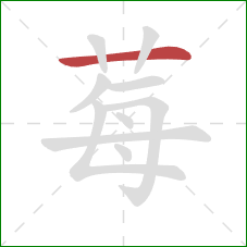 莓的笔顺第1画:横 莓的笔顺第1画:横