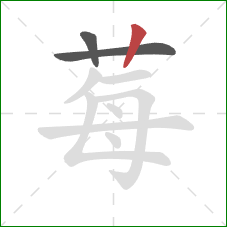 莓的笔顺第3画:竖 莓的笔顺第3画:竖