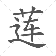 莲的部首 莲的部首