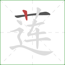 莲的笔顺第2画:竖 莲的笔顺第2画:竖