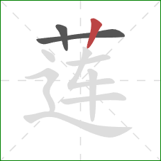 莲的笔顺第3画:竖 莲的笔顺第3画:竖