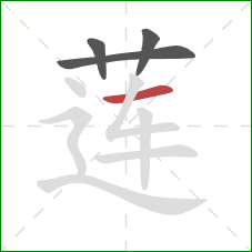 莲的笔顺第4画:横 莲的笔顺第4画:横