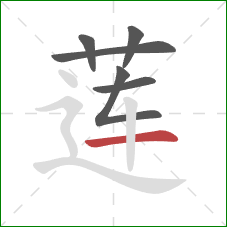 莲的笔顺第6画:横 莲的笔顺第6画:横