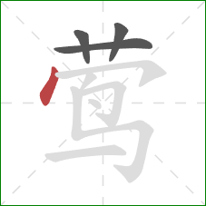 莺的笔顺第4画:点 莺的笔顺第4画:点