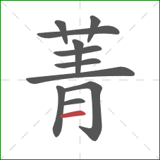 菁的笔顺第11画:横 菁的笔顺第11画:横