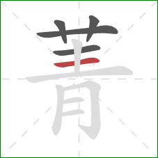 菁的笔顺第5画:横 菁的笔顺第5画:横