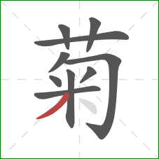 菊的笔顺第10画：撇