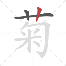 菊的笔顺第3画：竖