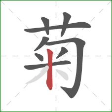 菊的笔顺第9画：竖