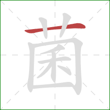 菌的笔顺第1画：横