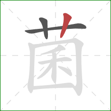 菌的笔顺第3画：竖