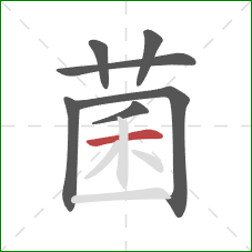 菌的笔顺第7画：横