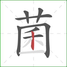 菌的笔顺第8画：竖