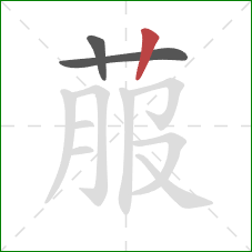 菔的笔顺第3画：竖