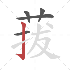 菝的笔顺第5画：竖钩