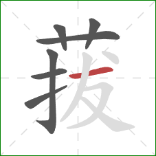 菝的笔顺第7画：横