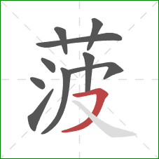 菠的笔顺第10画：横撇