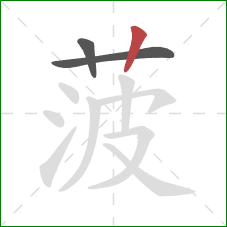 菠的笔顺第3画：竖