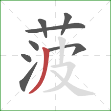 菠的笔顺第8画：撇