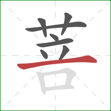 菩的笔顺第8画：横