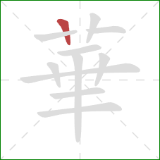 華的笔顺第1画:竖 華的笔顺第1画:竖
