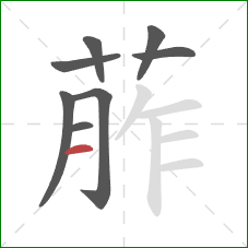 葄的笔顺第8画：横