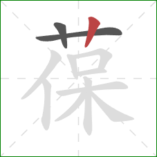 葆的笔顺第3画：竖