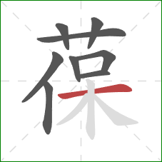 葆的笔顺第9画：横