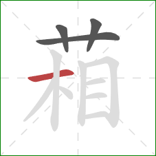 葙的笔顺第4画:横 葙的笔顺第4画:横