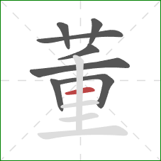 董的笔顺第8画：横