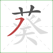 葵的笔顺第4画：横撇