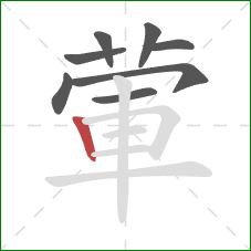 葷的笔顺第8画：竖