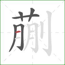 蒯的笔顺第6画:横 蒯的笔顺第6画:横
