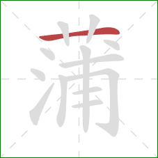 蒲的笔顺第1画:横 蒲的笔顺第1画:横
