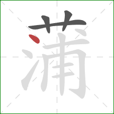 蒲的笔顺第4画:点 蒲的笔顺第4画:点