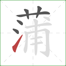 蒲的笔顺第6画:提 蒲的笔顺第6画:提
