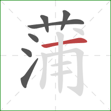 蒲的笔顺第7画:横 蒲的笔顺第7画:横