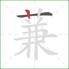 蒹的笔顺第2画:竖 蒹的笔顺第2画:竖