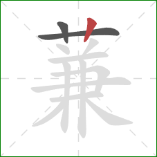 蒹的笔顺第3画:竖 蒹的笔顺第3画:竖