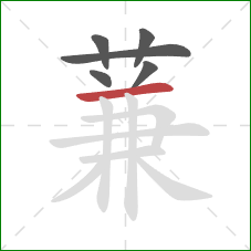 蒹的笔顺第6画:横 蒹的笔顺第6画:横